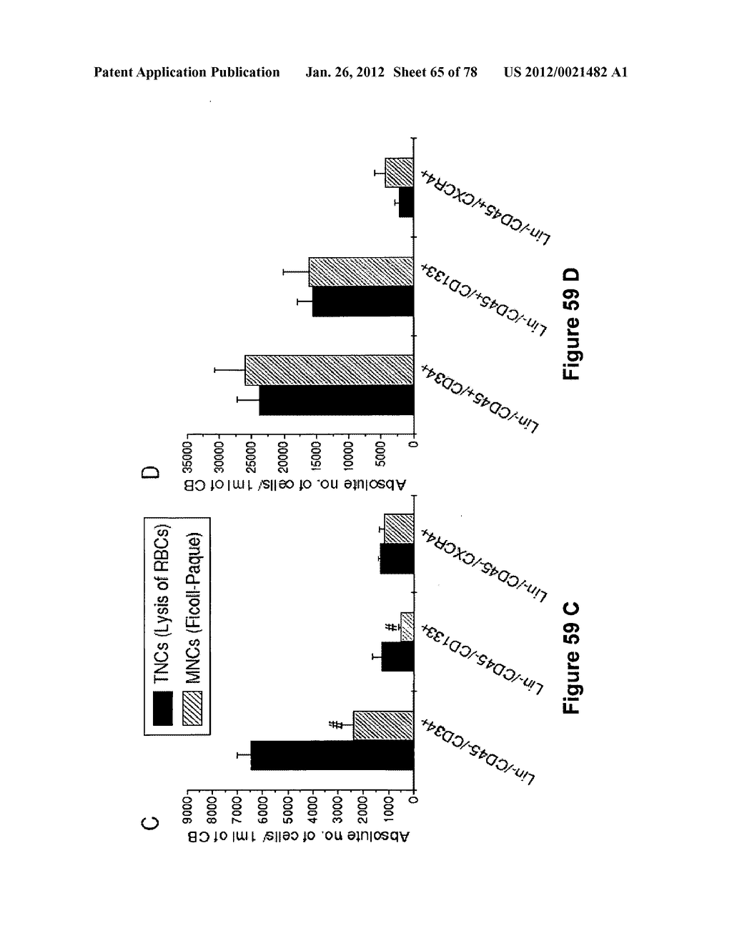 METHODS FOR ISOLATING VERY SMALL EMBRYONIC-LIKE (VSEL) STEM CELLS - diagram, schematic, and image 66