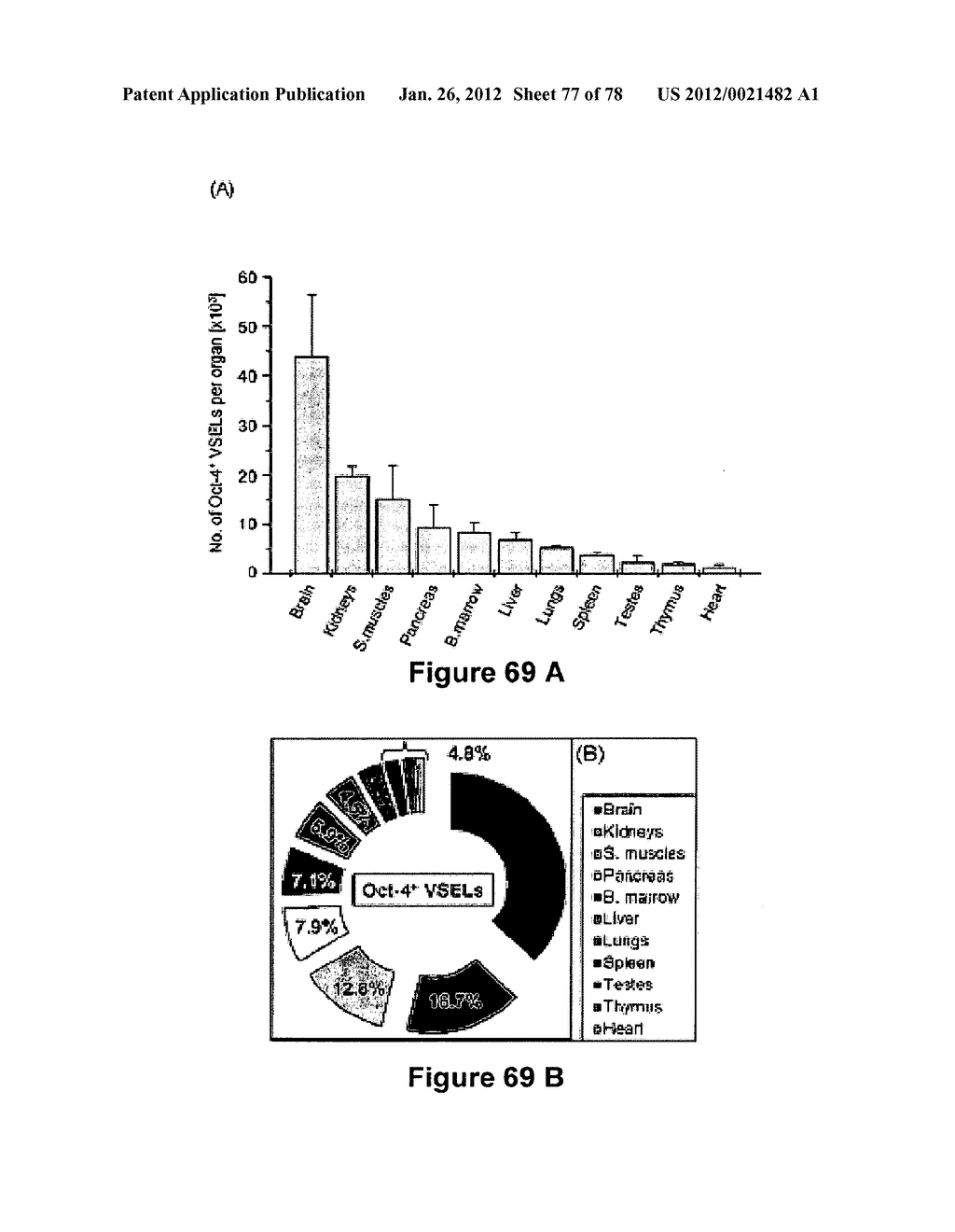 METHODS FOR ISOLATING VERY SMALL EMBRYONIC-LIKE (VSEL) STEM CELLS - diagram, schematic, and image 78