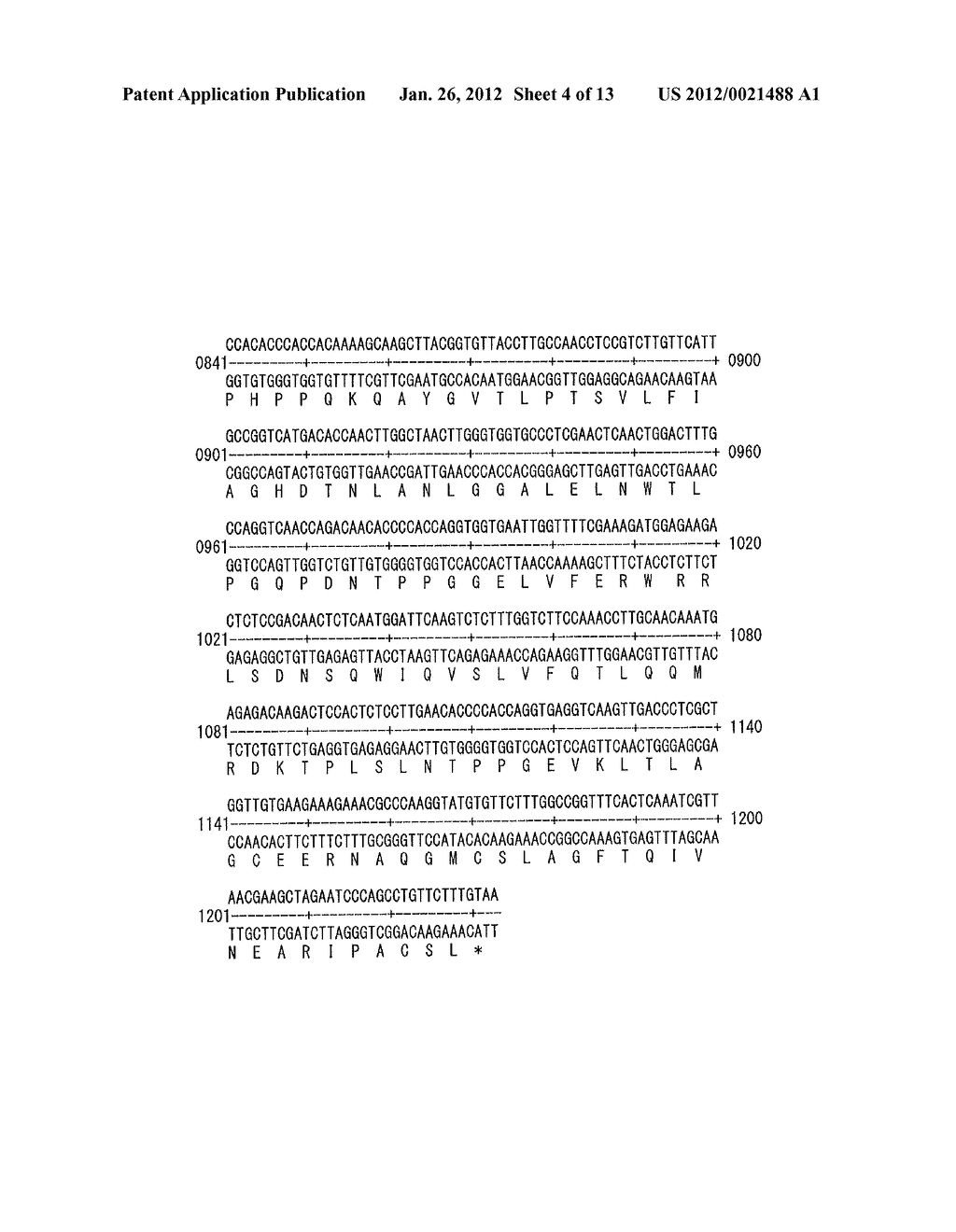 THERMOTOLERANT NON-K12 ESCHERICHIA COLI PHYTASE AND ITS PRODUCTION - diagram, schematic, and image 05