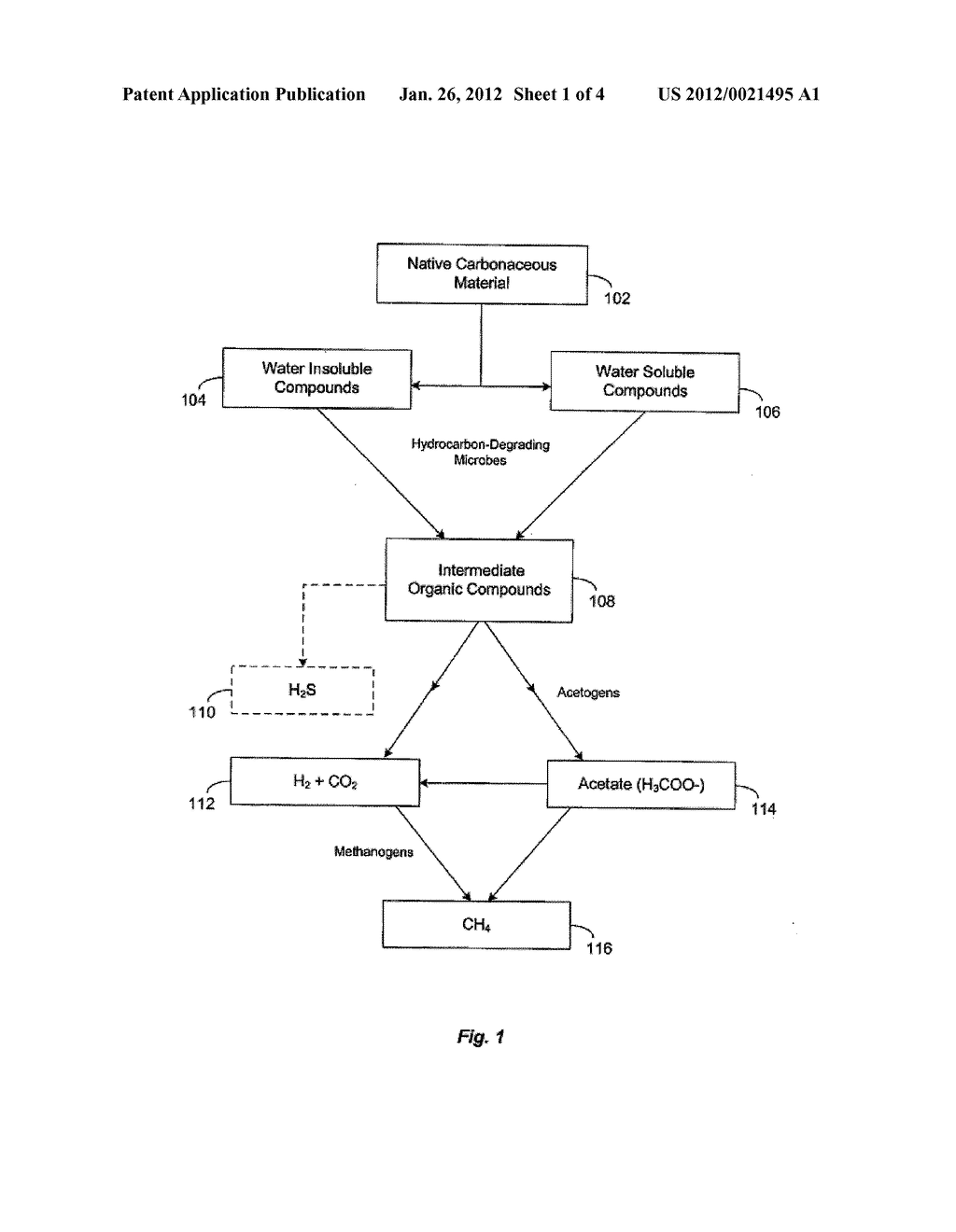 GENERATION OF MATERIALS WITH ENHANCED HYDROGEN CONTENT FROM ANAEROBIC     MICROBIAL CONSORTIA INCLUDING DESULFUROMONAS OR CLOSTRIDIA - diagram, schematic, and image 02