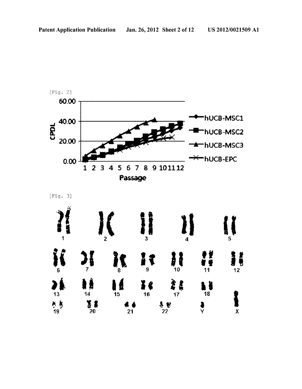 ISOLATING METHOD FOR UMBILICAL CORD BLOOD-DERIVED PLURIPOTENT STEM CELLS     EXPRESSING ZNF281 - diagram, schematic, and image 03