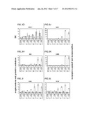 PREPRIMITIVE STREAK AND MESENDODERM CELLS diagram and image