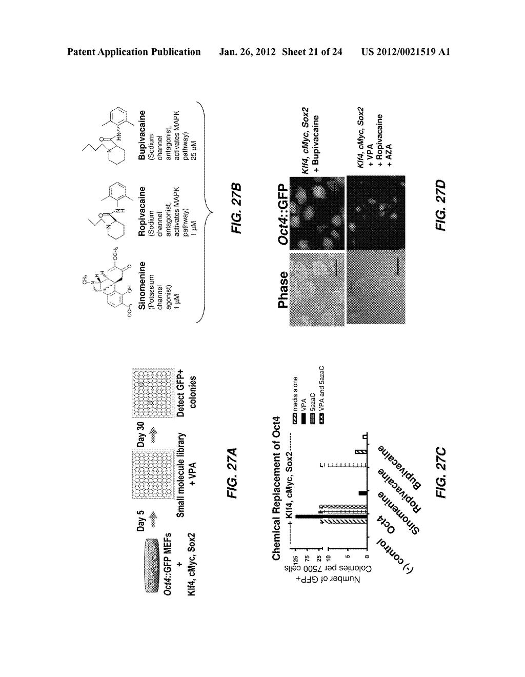 EFFICIENT INDUCTION OF PLURIPOTENT STEM CELLS USING SMALL MOLECULE     COMPOUNDS - diagram, schematic, and image 22