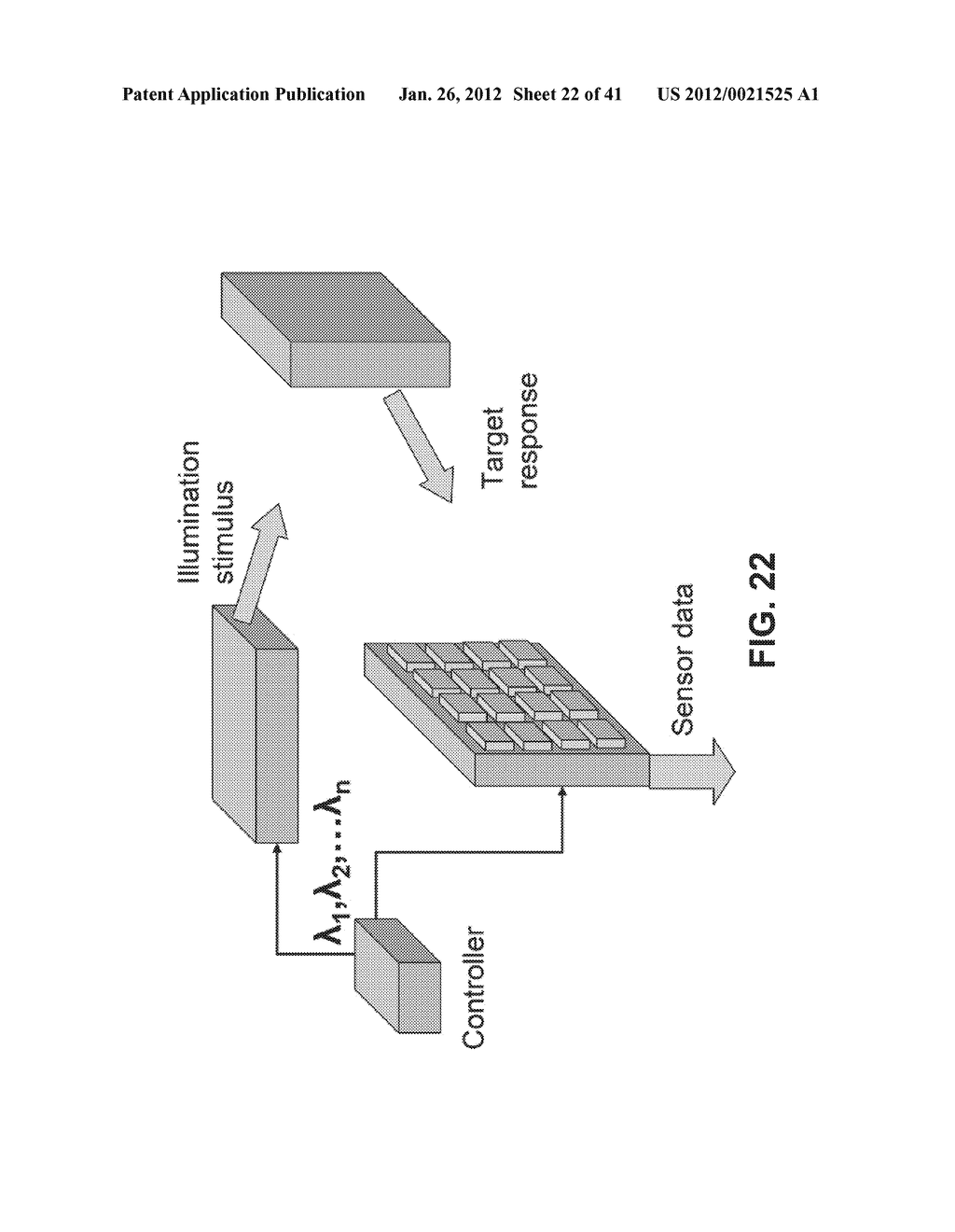 OPTICS COLLECTION AND DETECTION SYSTEM AND METHOD - diagram, schematic, and image 23