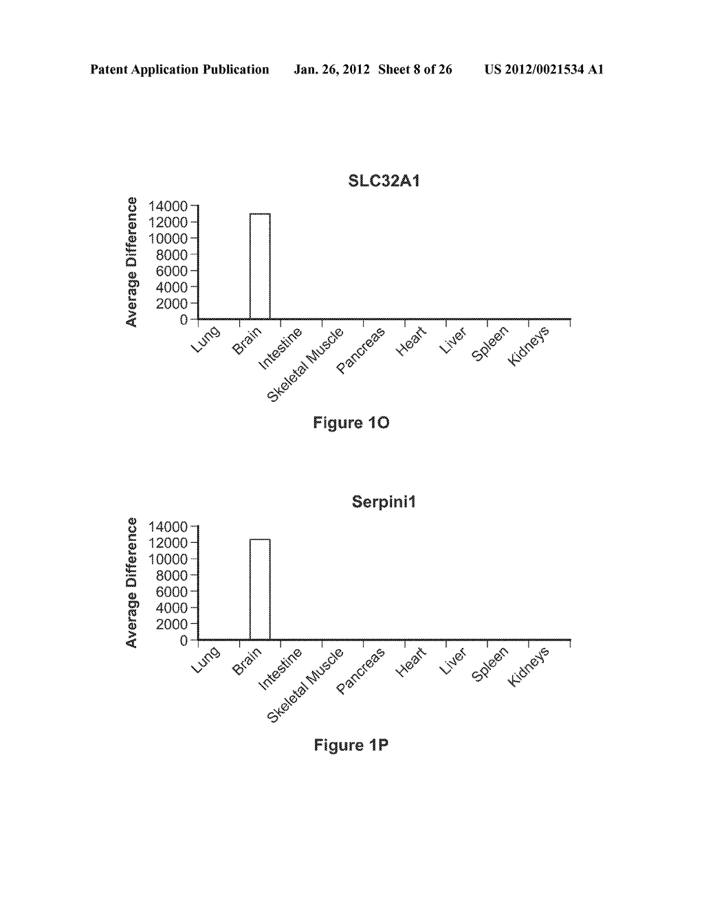 MARKERS FOR BRAIN DAMAGE - diagram, schematic, and image 09