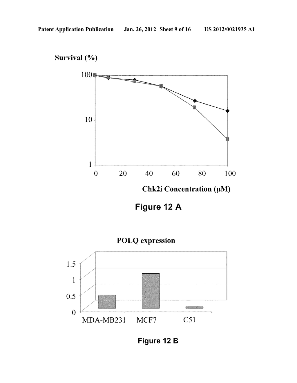 SIGNATURE FOR THE DIAGNOSIS OF CANCER AGGRESSIVENESS AND GENETIC     INSTABILITY - diagram, schematic, and image 10