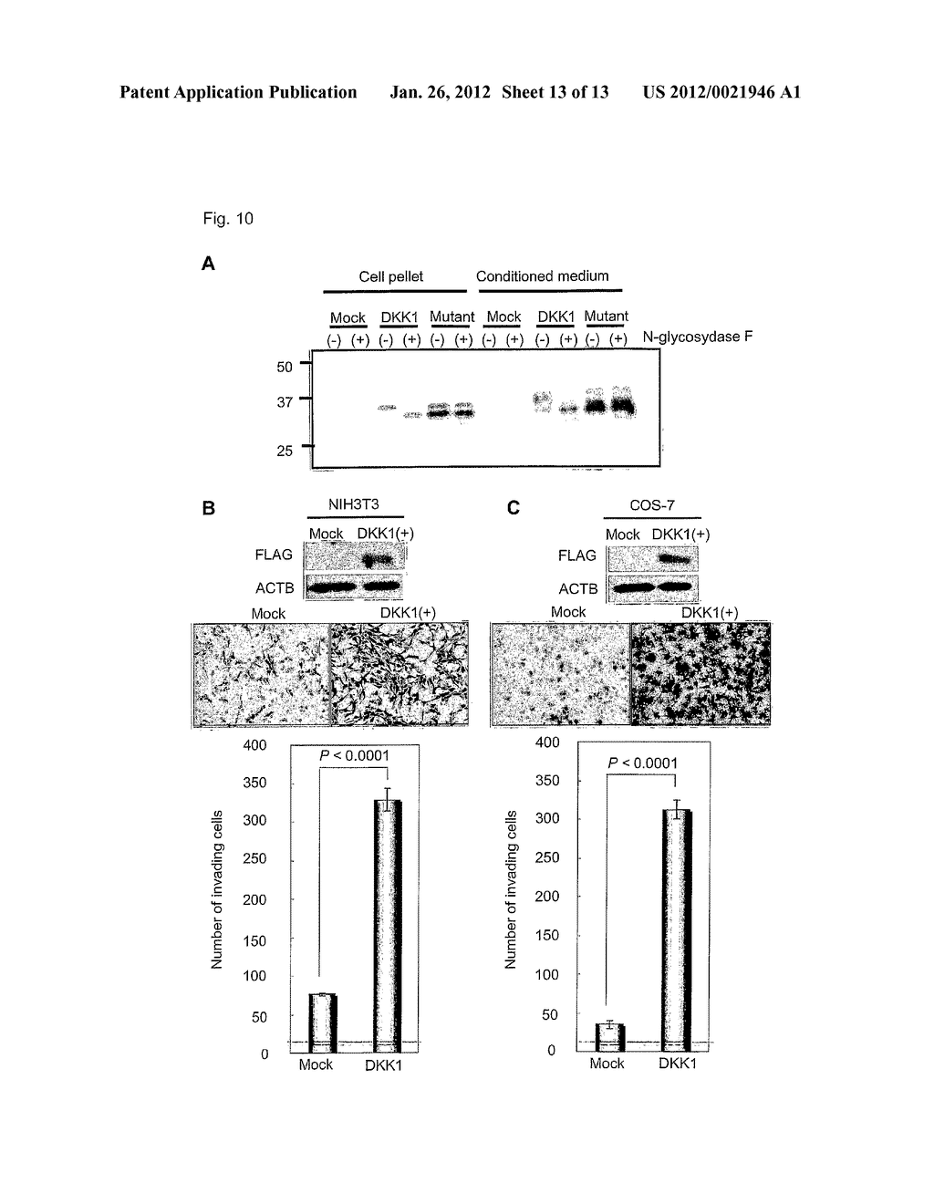 METHOD OF DIAGNOSING ESOPHAGEAL CANCER - diagram, schematic, and image 14