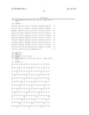 SURFACE DISPLAY OF WHOLE ANTIBODIES IN EUKARYOTES diagram and image