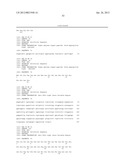 SURFACE DISPLAY OF WHOLE ANTIBODIES IN EUKARYOTES diagram and image