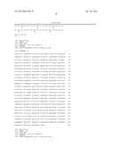 SURFACE DISPLAY OF WHOLE ANTIBODIES IN EUKARYOTES diagram and image