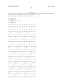 SURFACE DISPLAY OF WHOLE ANTIBODIES IN EUKARYOTES diagram and image