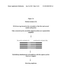 Methylation Ligation-Dependent Macroarray (MLM) diagram and image