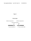 Methylation Ligation-Dependent Macroarray (MLM) diagram and image