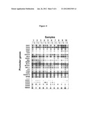 Methylation Ligation-Dependent Macroarray (MLM) diagram and image