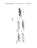 Methylation Ligation-Dependent Macroarray (MLM) diagram and image