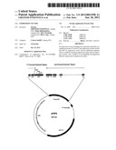 Expression Vector diagram and image