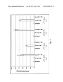 Expression Vector diagram and image