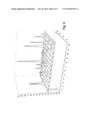 Expression Vector diagram and image