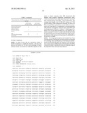 Expression Vector diagram and image