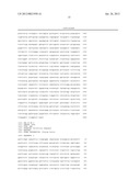 Expression Vector diagram and image