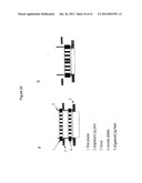 Apparatus for Assay, Synthesis and Storage, and Methods of Manufacture,     Use, and Manipulation Thereof diagram and image