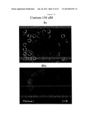 Apparatus for Assay, Synthesis and Storage, and Methods of Manufacture,     Use, and Manipulation Thereof diagram and image