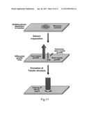 FORMATION OF ORGANIC NANOSTRUCTURE ARRAY diagram and image