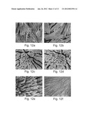 FORMATION OF ORGANIC NANOSTRUCTURE ARRAY diagram and image