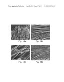 FORMATION OF ORGANIC NANOSTRUCTURE ARRAY diagram and image