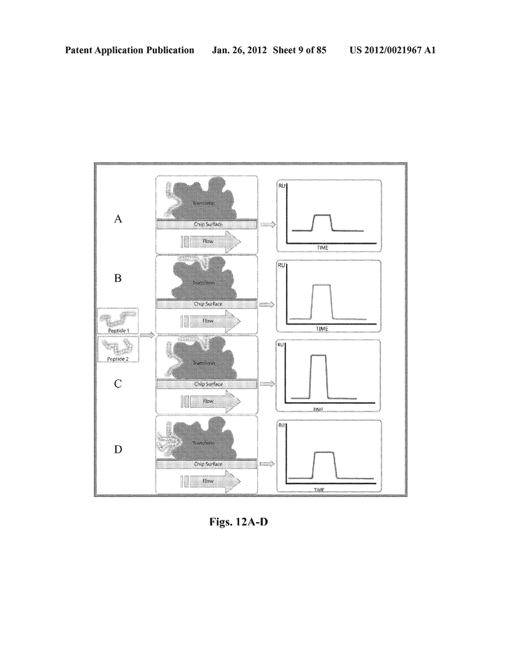 SYNTHETIC ANTIBODIES - diagram, schematic, and image 10