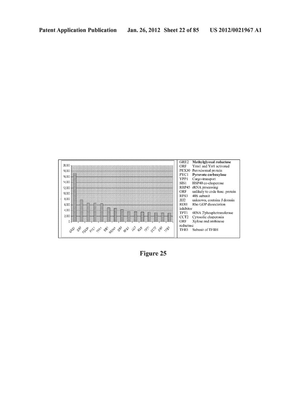 SYNTHETIC ANTIBODIES - diagram, schematic, and image 23