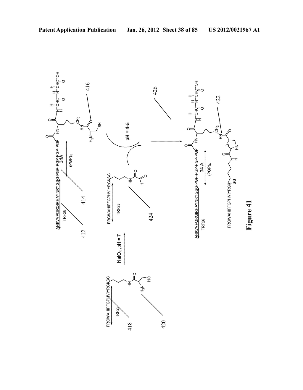 SYNTHETIC ANTIBODIES - diagram, schematic, and image 39