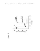 METHODS FOR PREVENTING OR TREATING MITOCHONDRIAL PERMEABILITY TRANSITION diagram and image