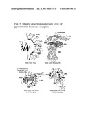 Glycoprotein Hormone Analogs diagram and image