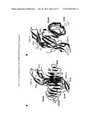 Glycoprotein Hormone Analogs diagram and image