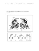 Glycoprotein Hormone Analogs diagram and image