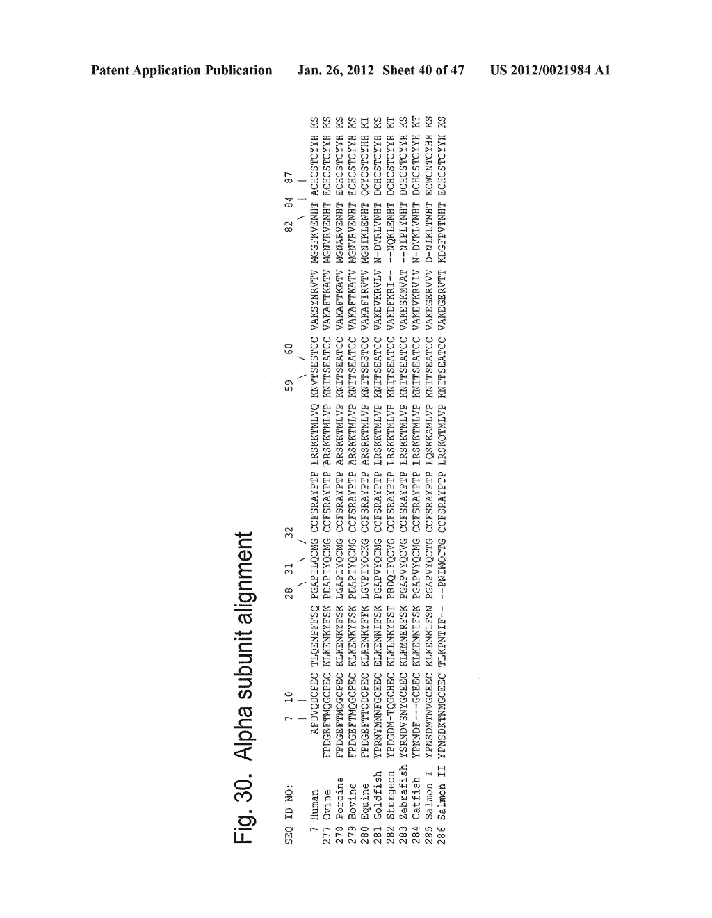 Glycoprotein Hormone Analogs - diagram, schematic, and image 41