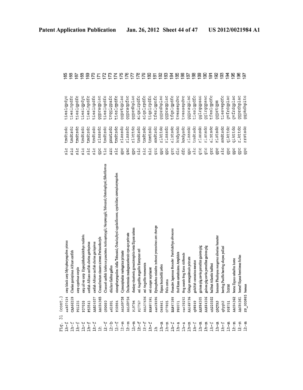 Glycoprotein Hormone Analogs - diagram, schematic, and image 45