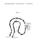 PROTEIN SCAFFOLD LIBRARY BASED ON KRINGLE DOMAIN STRUCTURE AND USES     THEREOF diagram and image