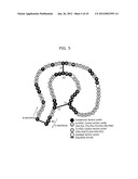 PROTEIN SCAFFOLD LIBRARY BASED ON KRINGLE DOMAIN STRUCTURE AND USES     THEREOF diagram and image