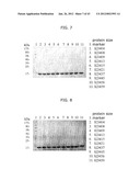 PROTEIN SCAFFOLD LIBRARY BASED ON KRINGLE DOMAIN STRUCTURE AND USES     THEREOF diagram and image