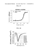 PROTEIN SCAFFOLD LIBRARY BASED ON KRINGLE DOMAIN STRUCTURE AND USES     THEREOF diagram and image