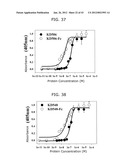 PROTEIN SCAFFOLD LIBRARY BASED ON KRINGLE DOMAIN STRUCTURE AND USES     THEREOF diagram and image