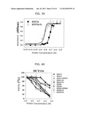 PROTEIN SCAFFOLD LIBRARY BASED ON KRINGLE DOMAIN STRUCTURE AND USES     THEREOF diagram and image