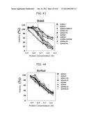 PROTEIN SCAFFOLD LIBRARY BASED ON KRINGLE DOMAIN STRUCTURE AND USES     THEREOF diagram and image