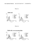 PROTEIN SCAFFOLD LIBRARY BASED ON KRINGLE DOMAIN STRUCTURE AND USES     THEREOF diagram and image