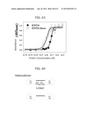 PROTEIN SCAFFOLD LIBRARY BASED ON KRINGLE DOMAIN STRUCTURE AND USES     THEREOF diagram and image