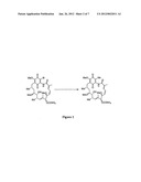 HSP90 INHIBITORS WITH MODIFIED TOXICITY diagram and image