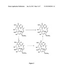 HSP90 INHIBITORS WITH MODIFIED TOXICITY diagram and image