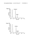 HSP90 INHIBITORS WITH MODIFIED TOXICITY diagram and image